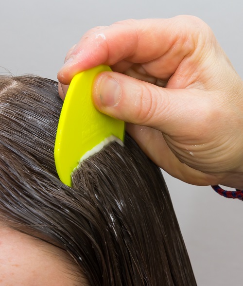 How to Use Lice Comb to Remove Lice and Nits Lice Doctors LiceDoctors